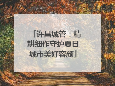 许昌城管：精耕细作守护夏日城市美好容颜