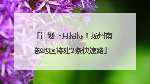 计划下月招标！扬州南部地区将建2条快速路