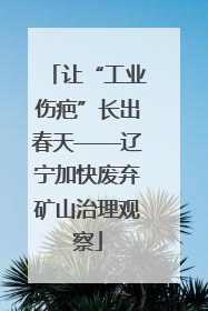 让“工业伤疤”长出春天——辽宁加快废弃矿山治理观察
