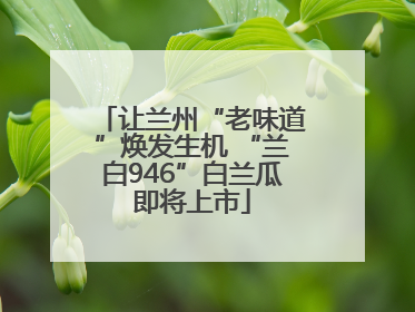 让兰州“老味道”焕发生机 “兰白946”白兰瓜即将上市