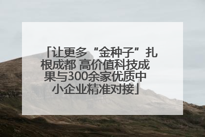 让更多“金种子”扎根成都 高价值科技成果与300余家优质中小企业精准对接