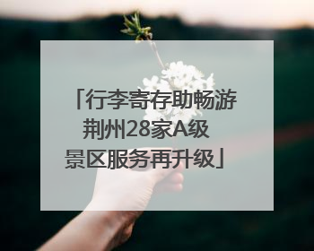 行李寄存助畅游 荆州28家A级景区服务再升级