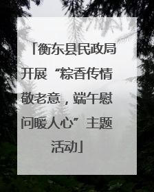 衡东县民政局开展“粽香传情敬老意，端午慰问暖人心”主题活动