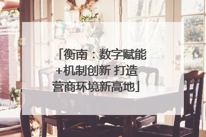 衡南：数字赋能+机制创新 打造营商环境新高地