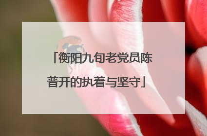 衡阳九旬老党员陈普开的执着与坚守