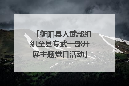 衡阳县人武部组织全县专武干部开展主题党日活动