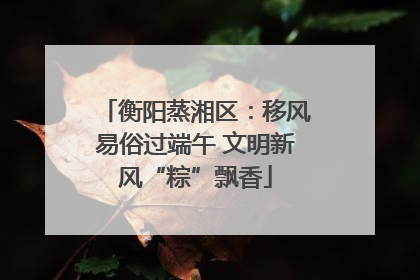 衡阳蒸湘区：移风易俗过端午 文明新风“粽”飘香