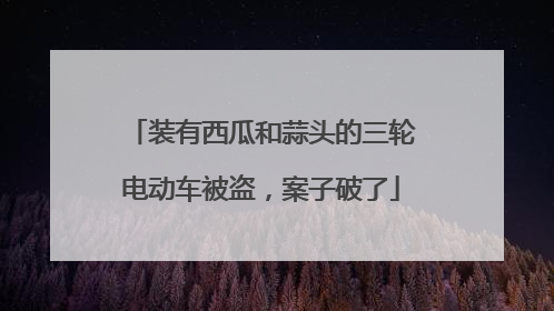 装有西瓜和蒜头的三轮电动车被盗，案子破了