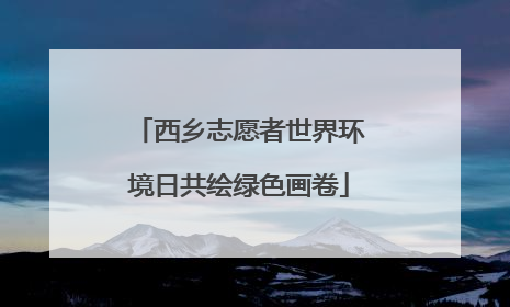 西乡志愿者世界环境日共绘绿色画卷