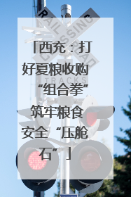西充：打好夏粮收购“组合拳” 筑牢粮食安全“压舱石”