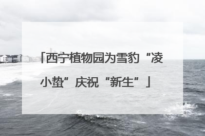 西宁植物园为雪豹“凌小蛰”庆祝“新生”