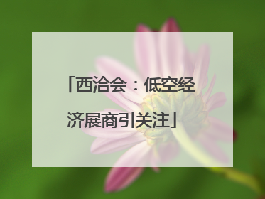 西洽会：低空经济展商引关注