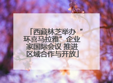 西藏林芝举办“环喜马拉雅”企业家国际会议 推进区域合作与开放
