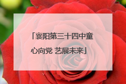 襄阳第三十四中童心向党 艺展未来
