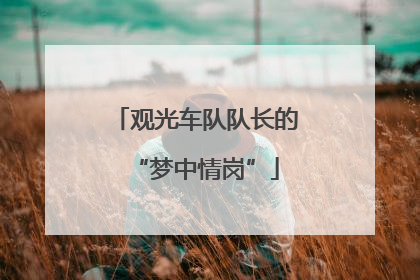观光车队队长的“梦中情岗”