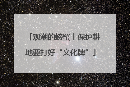 观潮的螃蟹丨保护耕地要打好“文化牌”