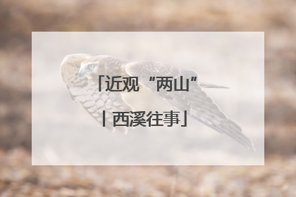 近观“两山”丨西溪往事