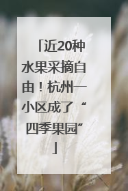近20种水果采摘自由！杭州一小区成了“四季果园”
