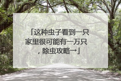 这种虫子看到一只家里很可能有一万只，除虫攻略→
