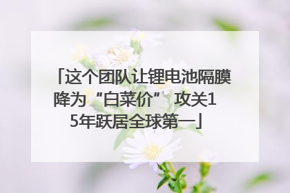这个团队让锂电池隔膜降为“白菜价” 攻关15年跃居全球第一