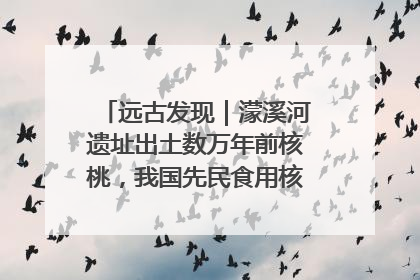 远古发现｜濛溪河遗址出土数万年前核桃，我国先民食用核桃历史大幅提前