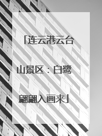 连云港云台山景区：白鹭翩翩入画来