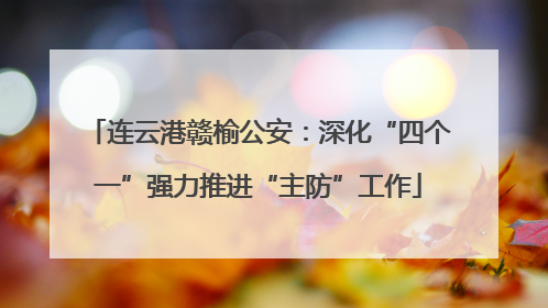连云港赣榆公安：深化“四个一”强力推进“主防”工作