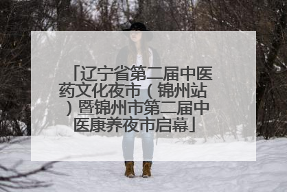 辽宁省第二届中医药文化夜市（锦州站）暨锦州市第二届中医康养夜市启幕