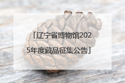 辽宁省博物馆2025年度藏品征集公告