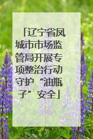 辽宁省凤城市市场监管局开展专项整治行动守护“油瓶子”安全