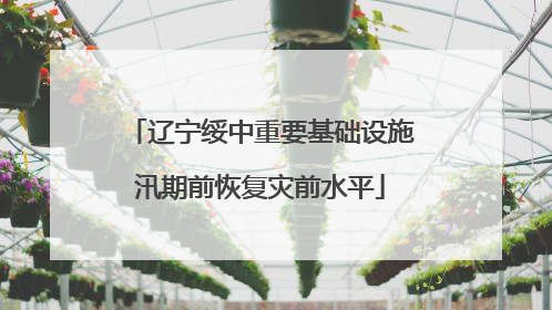 辽宁绥中重要基础设施汛期前恢复灾前水平