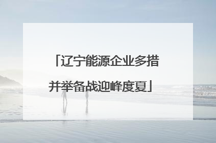 辽宁能源企业多措并举备战迎峰度夏
