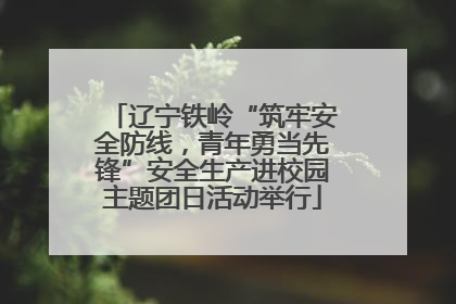 辽宁铁岭“筑牢安全防线，青年勇当先锋”安全生产进校园主题团日活动举行