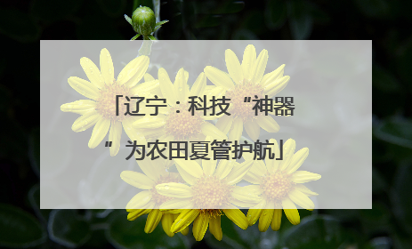辽宁：科技“神器”为农田夏管护航