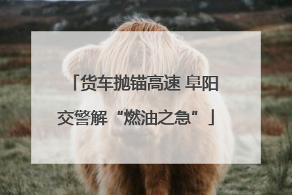 货车抛锚高速 阜阳交警解“燃油之急”
