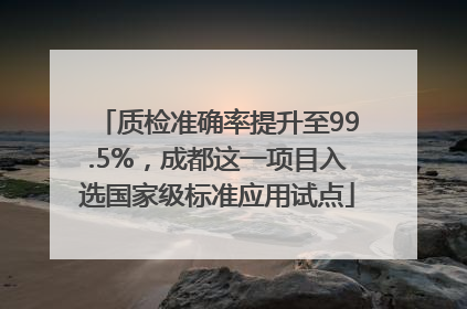 质检准确率提升至99.5%，成都这一项目入选国家级标准应用试点