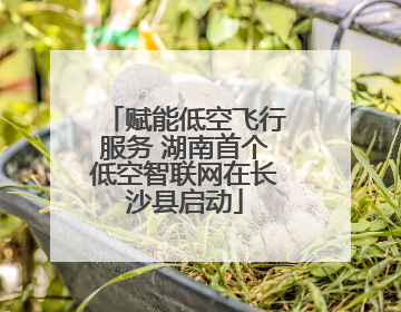 赋能低空飞行服务 湖南首个低空智联网在长沙县启动