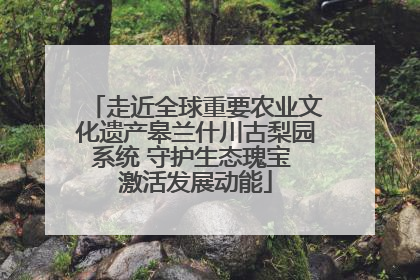 走近全球重要农业文化遗产皋兰什川古梨园系统 守护生态瑰宝 激活发展动能