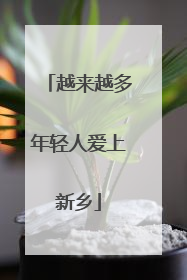 越来越多年轻人爱上新乡