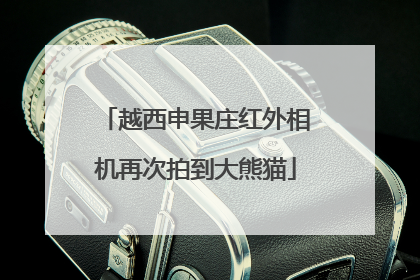 越西申果庄红外相机再次拍到大熊猫