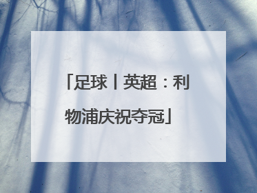 足球丨英超：利物浦庆祝夺冠
