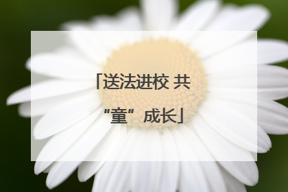 送法进校 共“童”成长