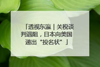 透视东瀛｜关税谈判遇阻，日本向美国递出“投名状”