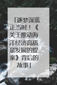 逐梦深蓝正当时！《关于推动海洋经济高质量发展的提案》背后的故事