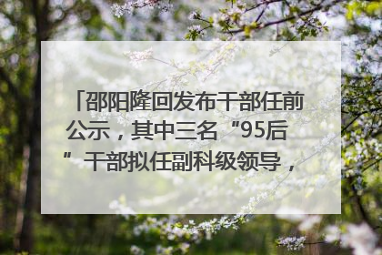 邵阳隆回发布干部任前公示，其中三名“95后”干部拟任副科级领导，均系硕士选调生