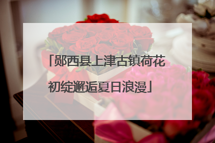 郧西县上津古镇荷花初绽邂逅夏日浪漫