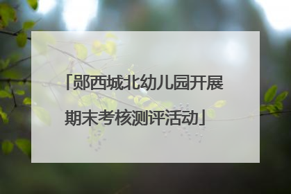 郧西城北幼儿园开展期末考核测评活动