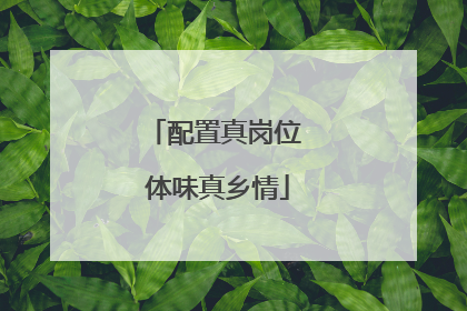 配置真岗位 体味真乡情