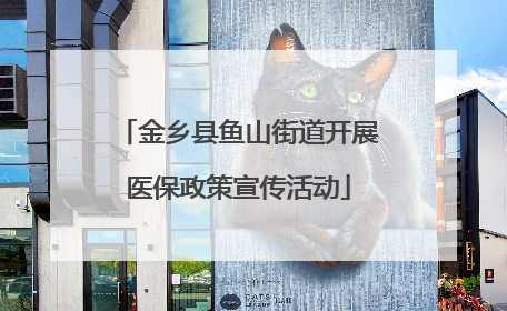 金乡县鱼山街道开展医保政策宣传活动