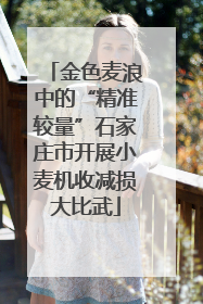 金色麦浪中的“精准较量”石家庄市开展小麦机收减损大比武